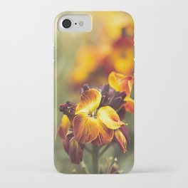 Vibrant Matthiola incana flowers iPhone Case
