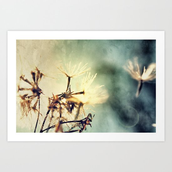 Make a Wish Art Print