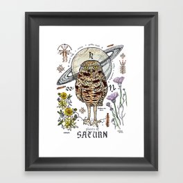 Saturn Owl Framed Art Print