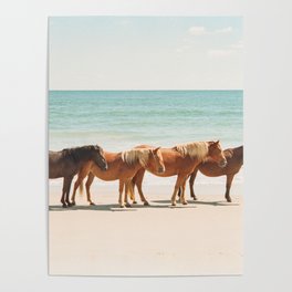 Summer Beach Horses Poster