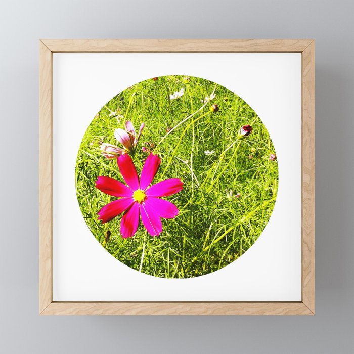 Wild Flowers (Circle) Framed Mini Art Print