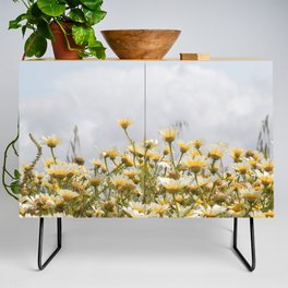 Garden of Daisy Flowers | Nature Photography in Portugal Art Print | Floral Summer Photo Credenza
