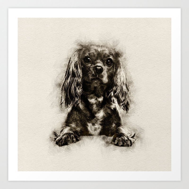English Print Cavalier King Charles Spaniel Dog Picture