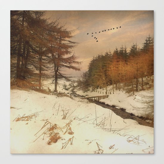 A winter's Tale Canvas Print