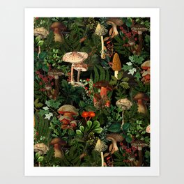 Vintage Autumnal Fungi Botanical Forest Night Garden Art Print
