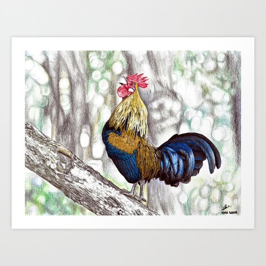 Red Junglefowl (Original Available for sale) Art Print