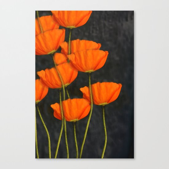 Poppies(orange). Canvas Print
