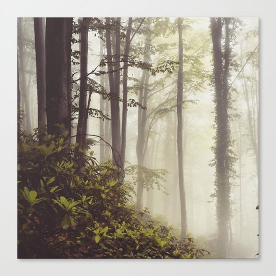 misty forest Canvas Print