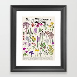 Native Missouri Wildflowers Framed Art Print