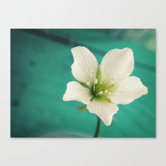 Venus Canvas Print