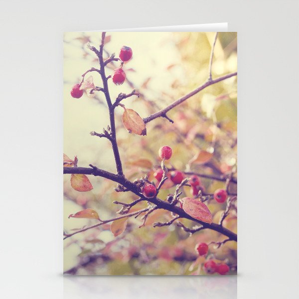 Berry Christmas Stationery Cards