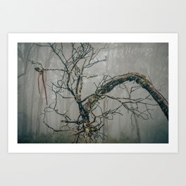 Fairytales Live In The Forest Art Print