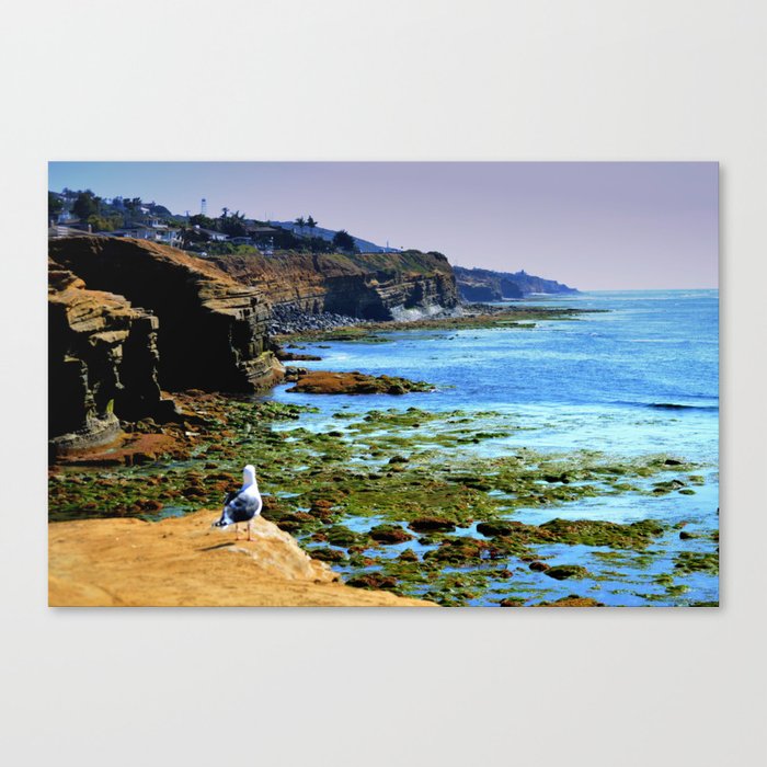 The world Is So Big And I Am So Small ~Southern California Canvas Print