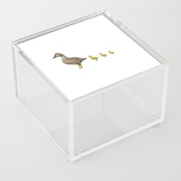 Anisue's Ducklings. Acrylic Box