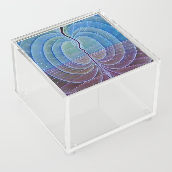 Reverberation Acrylic Box