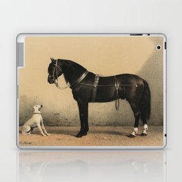Orloffer (Orloff Horse) by Emil Volkers (1880), an illustration of a black horse and a white dog Laptop Skin