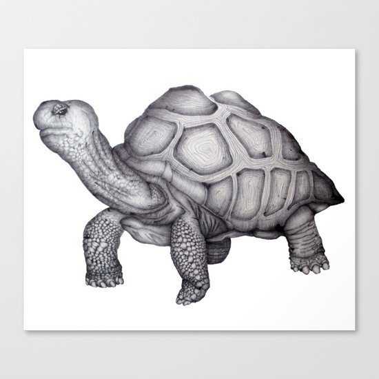A Little Lonely Canvas Print