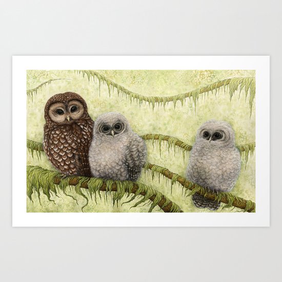Northern Spotted Owls Art Print