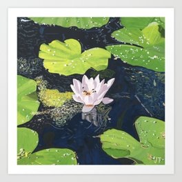 Waterlily Art Print