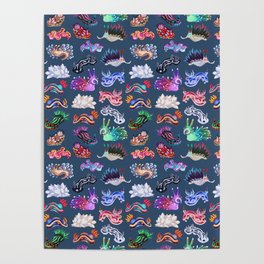 Nudibranch Poster