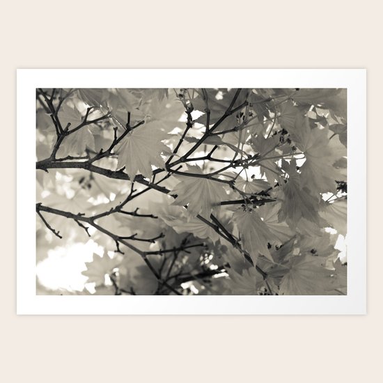 Lost Art Print