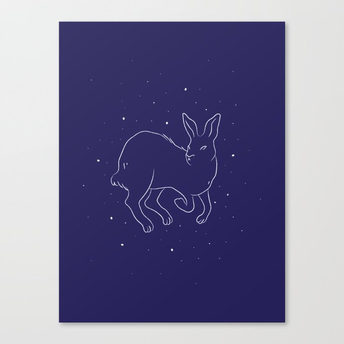 Arctic hare in a winter starry night Canvas Print