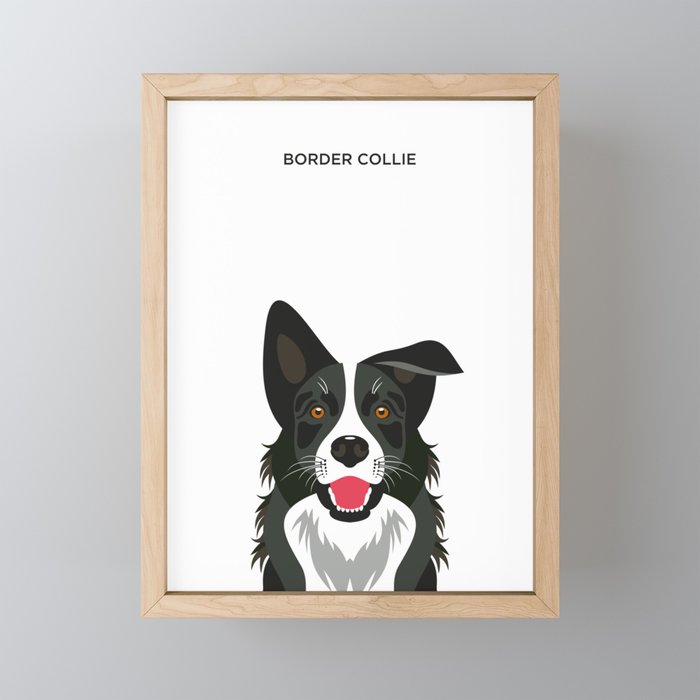 Illustration of Border Collie Dog. Framed Mini Art Print by Diva Doodle  Designs