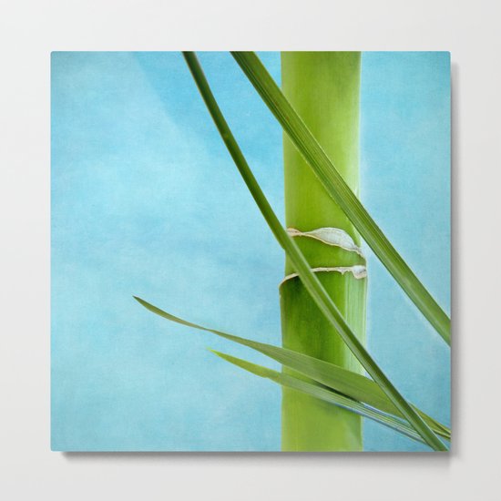 WELLNESS BAMBOO Metal Print