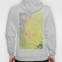 Abstract Marble Texture 432 Hoody