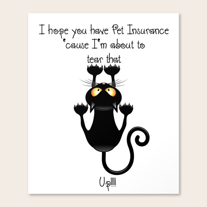 copycat quotes sayings