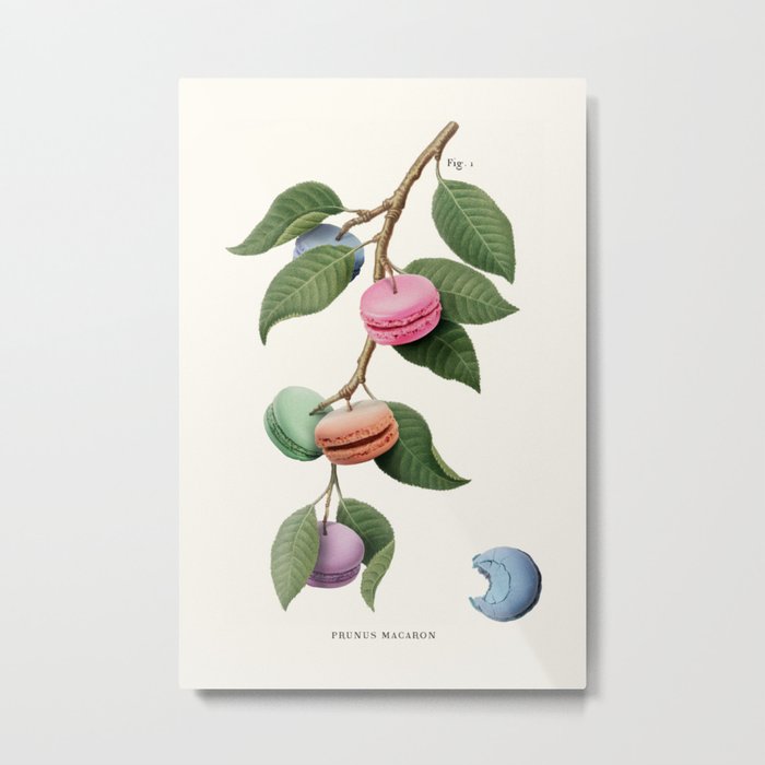 Macaron Plant Metal Print