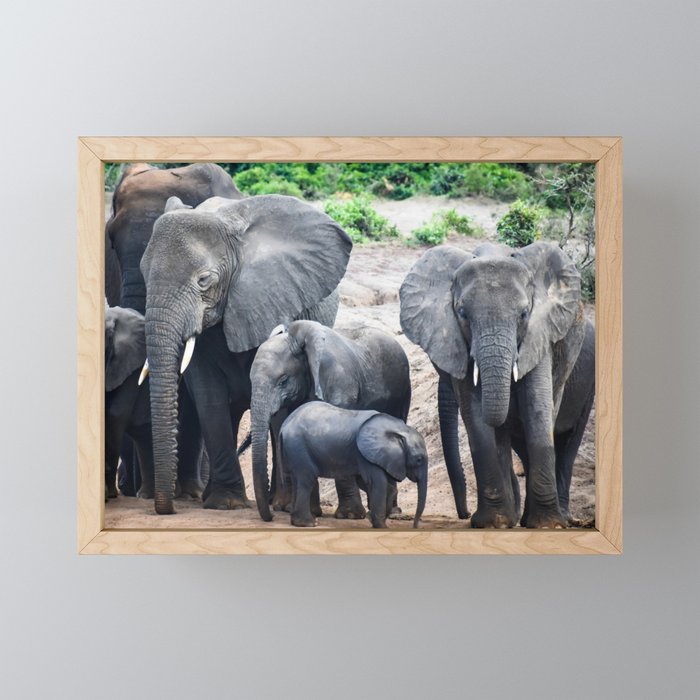 Group of Elephants Framed Mini Art Print
