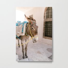 Santorini 0009: Donkey in Pyrgos, Santorini, Greece, Pastel travel photography art print Metal Print | Photo, Color, Island, Santorini, Digital, Traditional, Greece, Cyclades, Horse, Greek 