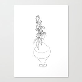 Pot in a Pot Canvas Print