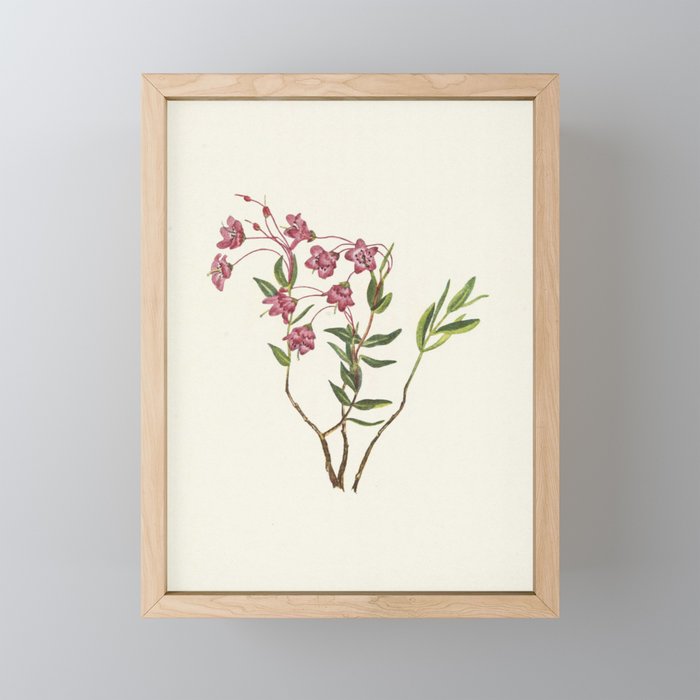 Pink Flowers Framed Mini Art Print