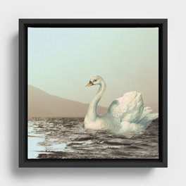 Swan lake Framed Canvas