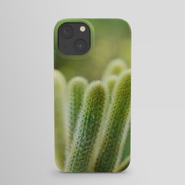 Succulent _003 iPhone Case