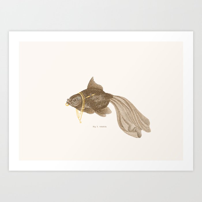 Goldfish Art Print