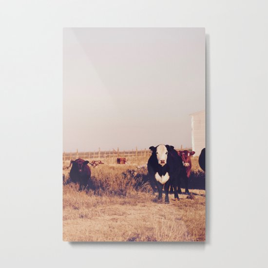 Concentration Metal Print
