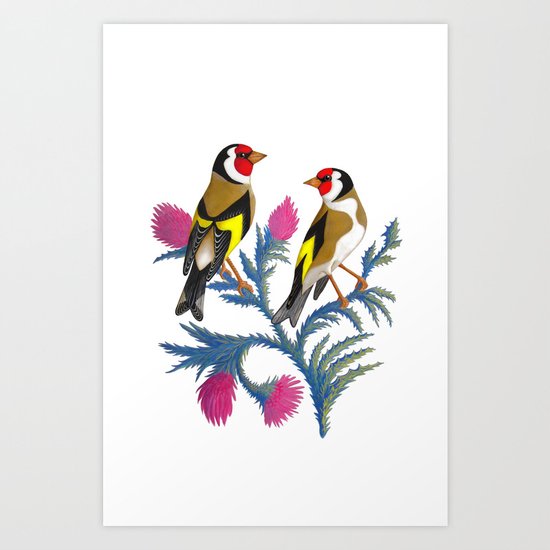 carduelis carduelis (euro goldfinch) Art Print