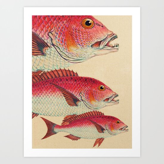 Fish Classic Designs 7 Art Print