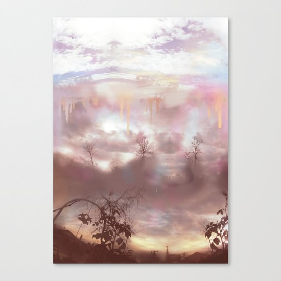 Transitions Canvas Print