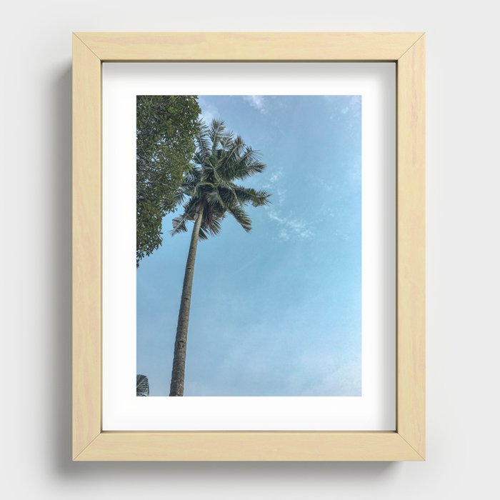 Coconut palm Recessed Framed Print