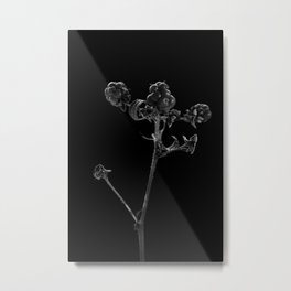 Botanical portrait Metal Print | Black, Plant, Black And White, Dark, Autumn, Forrest, Photo, Stam, Berries, Digital 