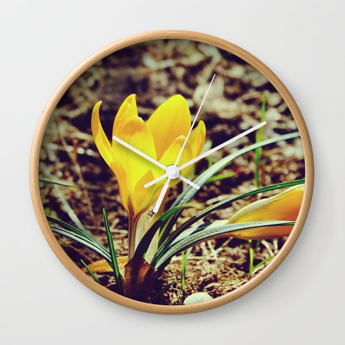 Yellow Crocus Flower | Nature Photography  Wall Clock