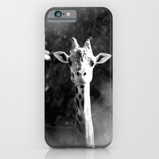 portrait of giraffe iPhone & iPod Case