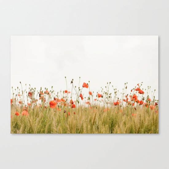 Poppies Coquelicots Canvas Print