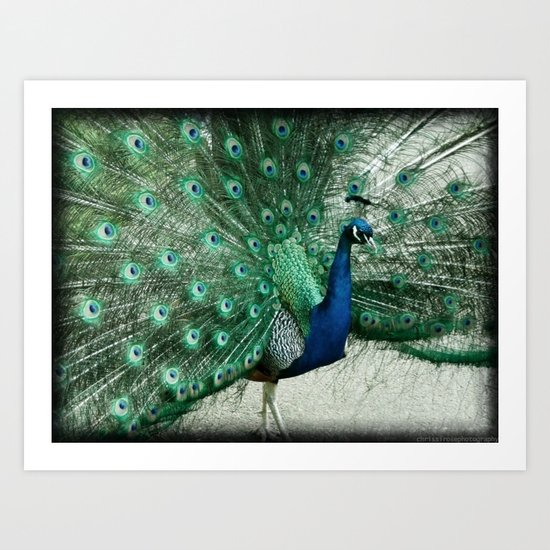 Colorful Coat Art Print