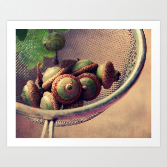 acorns Art Print