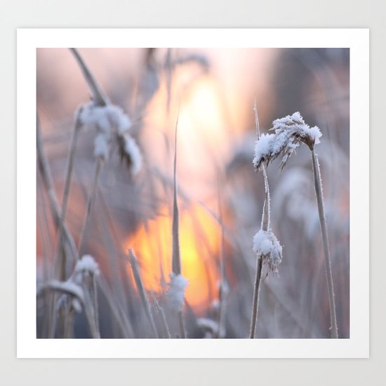 Sunny Winter Day Art Print